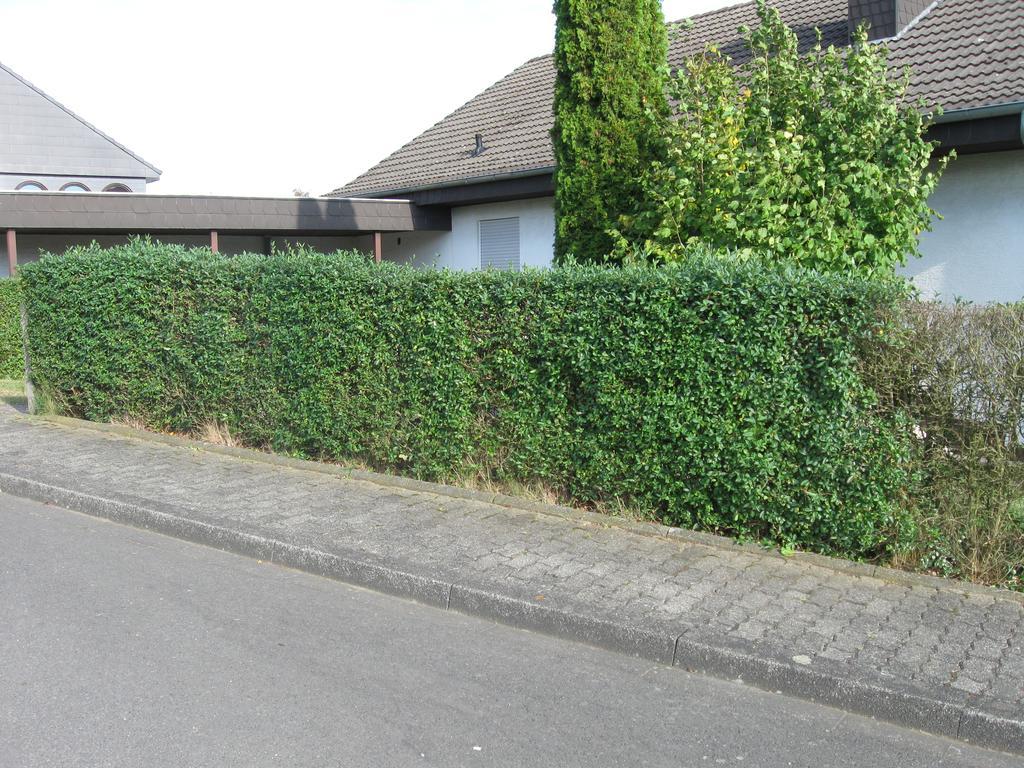 Ferienwohnung Auf Dem Bunberg Bebra Extérieur photo